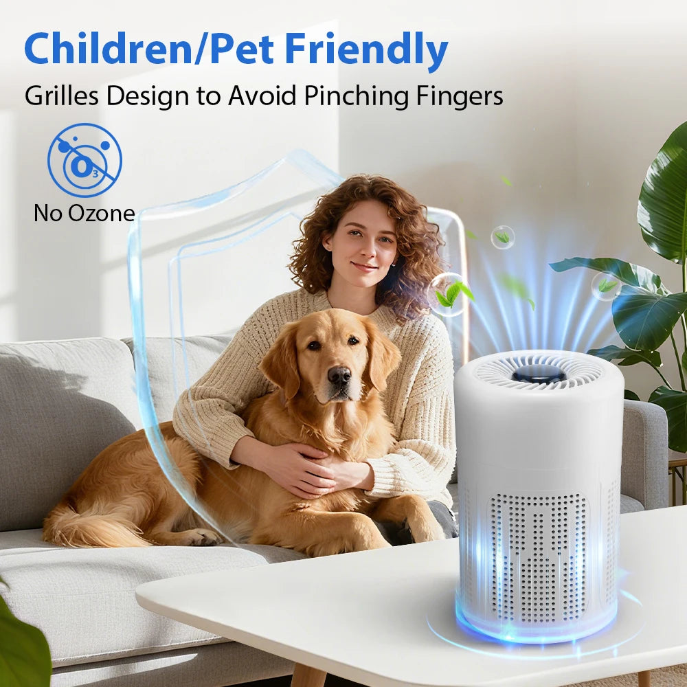Mini Desktop Air Purifier — HEPA Filter, Negative Ion Technology, Removes Formaldehyde, Odors & Dust