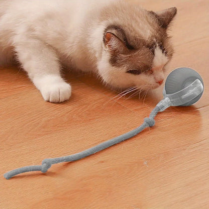 Rechargeable Smart Rolling Ball Toy for Cats & Dogs with Faux Tail