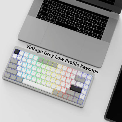 143 Key Low Profile PBT Keycaps – RGB Shine-Through, 60%/87/104, Cherry/Gateron MX